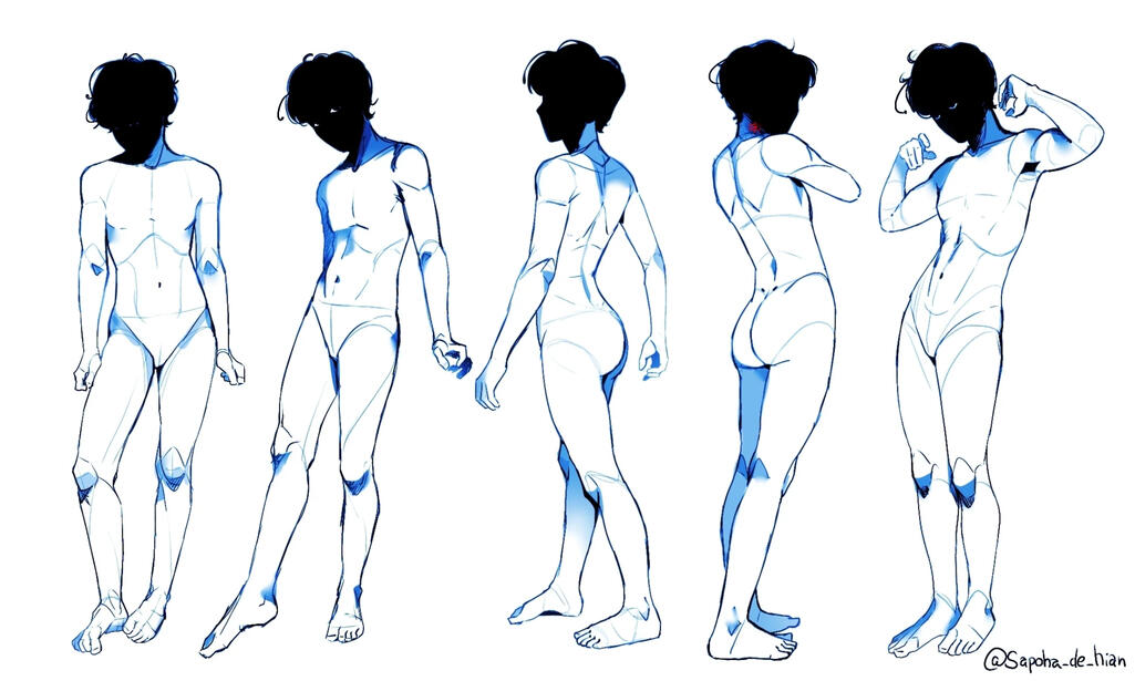 Estudo de anatomia Estudo de anatomia